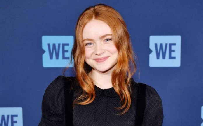 Sadie Sink Lifestyle, Wiki, Net Worth, Income, Salary, House, Cars ...