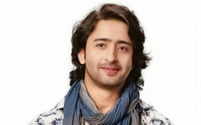 Shaheer Sheikh Lifestyle, Height, Wiki, Net Worth, Income, Salary, Cars