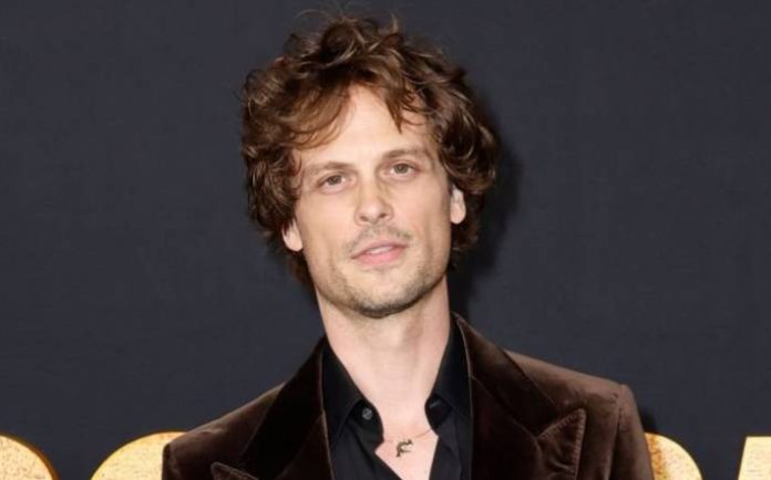 Matthew Gray Gubler Net Worth, Lifestyle, Age, Height, Weight, Family ...